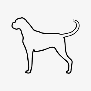 Boxer