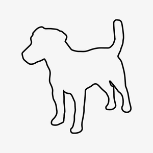 Jack Russell