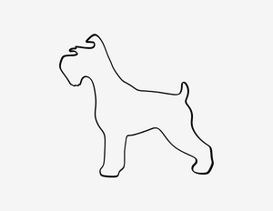 Schnauzer
