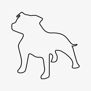 Staffordshire Bull Terrier