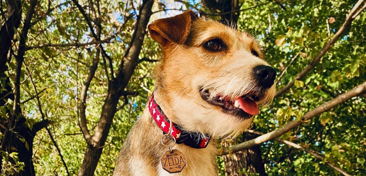 Handmade for every walk