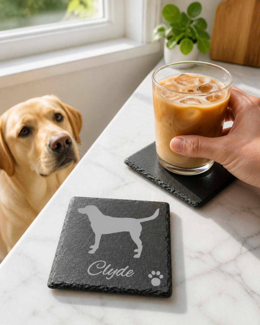 Personalised Labrador slate coaster on a marble kitchen worktop with a Labrador looking up
