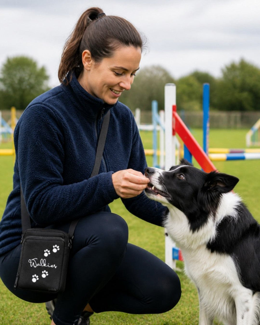 Walkies bag worn at hip during agility training with a Border Collie