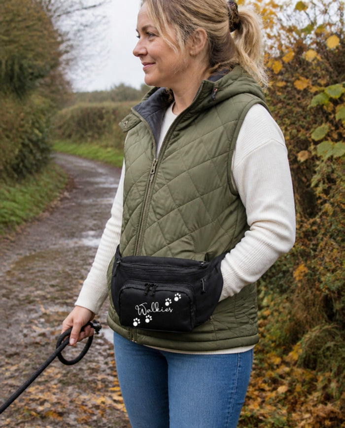 Hands-free strolls
