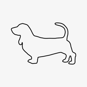 Basset Hound