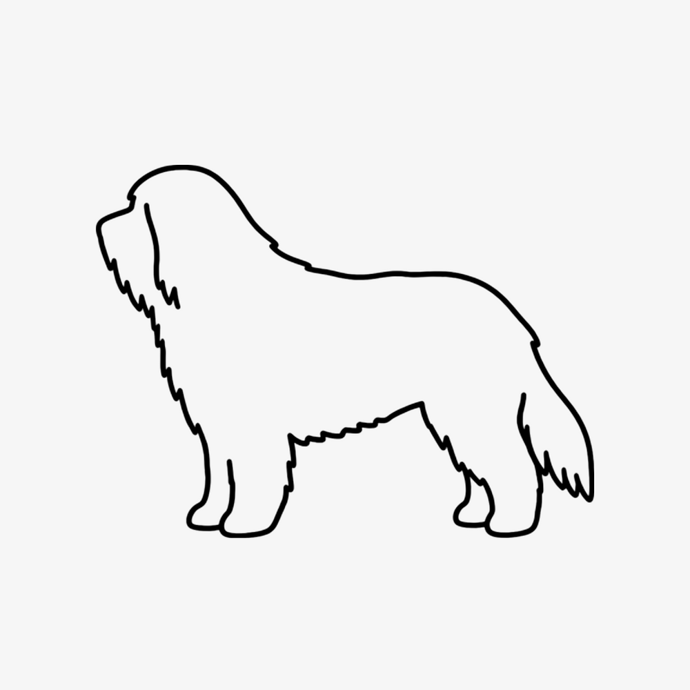 Bearded Collie outline design