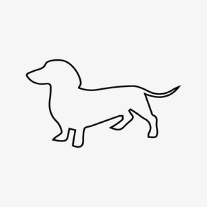 Dachshund