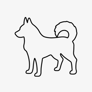 Husky