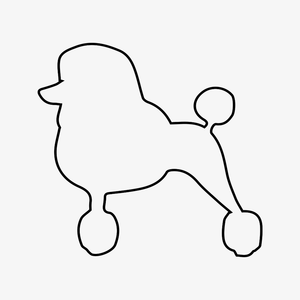 Poodle