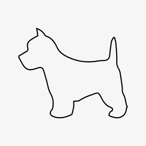 West Highland Terrier