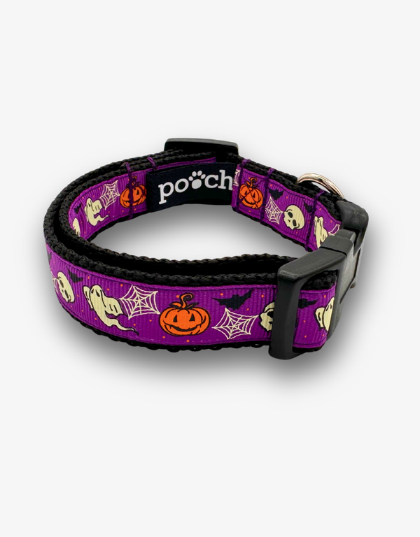 Halloween Dog Collar