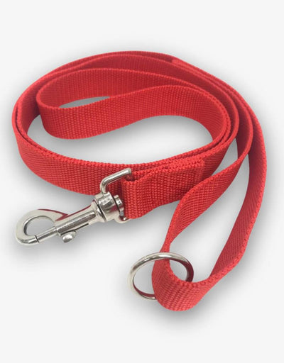 Dog Lead