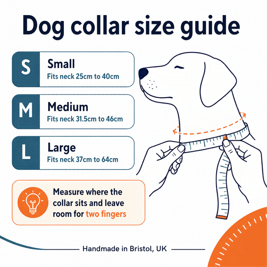 Dog collar size guide: Small fits 25cm to 40cm, Medium 31.5cm to 46cm, Large 37cm to 64cm