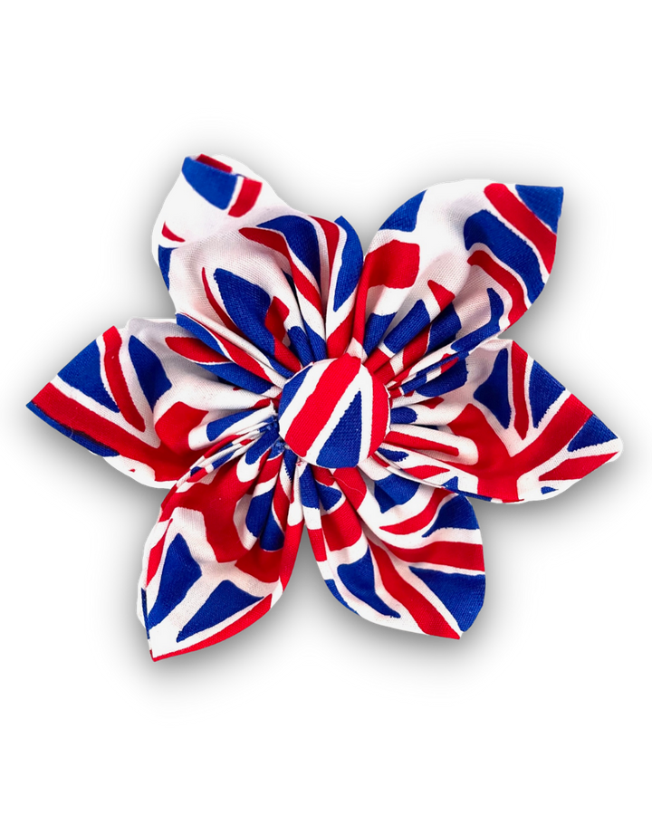 Union Flag flower accessory for dog collar.