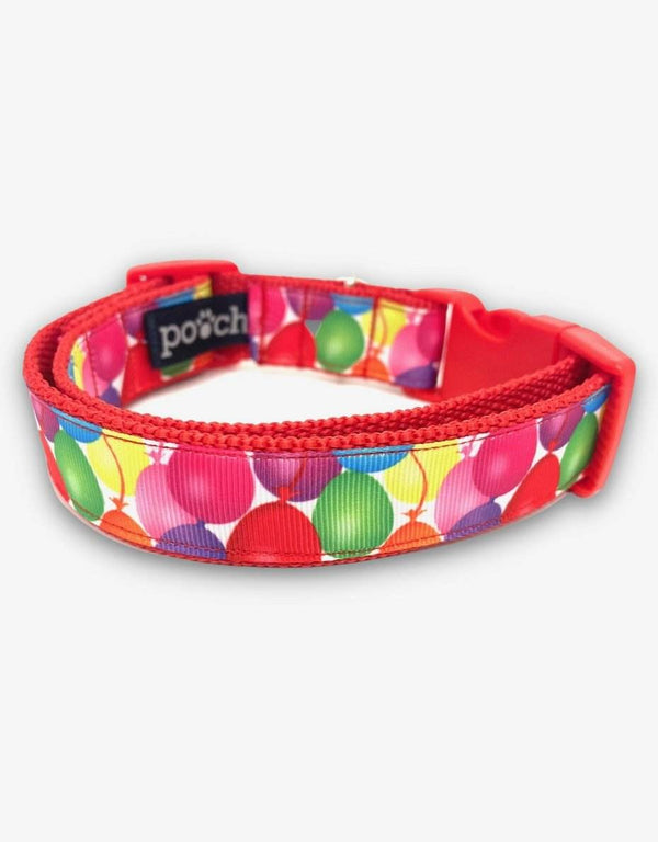 Birthday Balloon Dog Collar with colorful balloon design and adjustable strap.