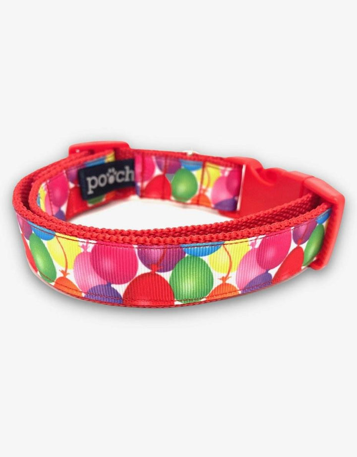 Birthday Balloon Dog Collar with colorful balloon design and adjustable strap.