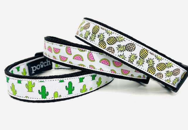 Cactus Dog Collar with vibrant cactus print design.