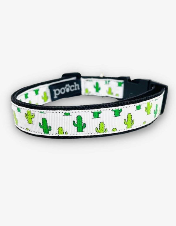 Cactus dog collar with green cactus pattern on white band, featuring durable materials and a robust plastic clip.