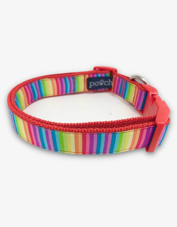 Adjustable rainbow dog collar with red clip and stainless steel D-rings.