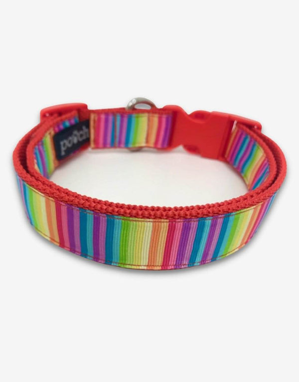Adjustable rainbow dog collar with red clip and stainless steel D-rings.