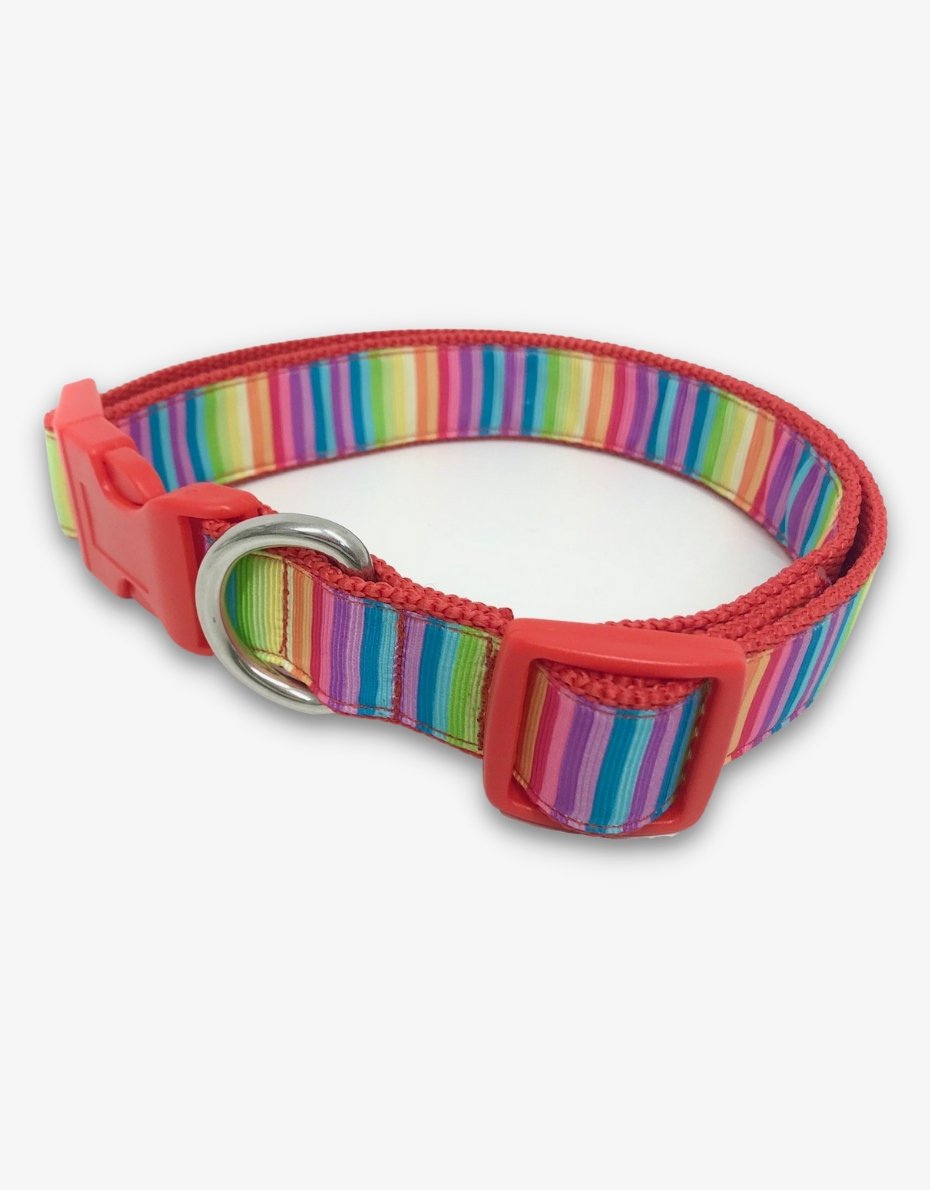 Rainbow Dog Collar - Pooch-