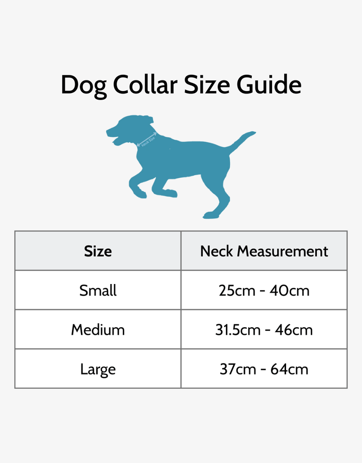 Dog collar size guide with neck measurements for small, medium, and large sizes.