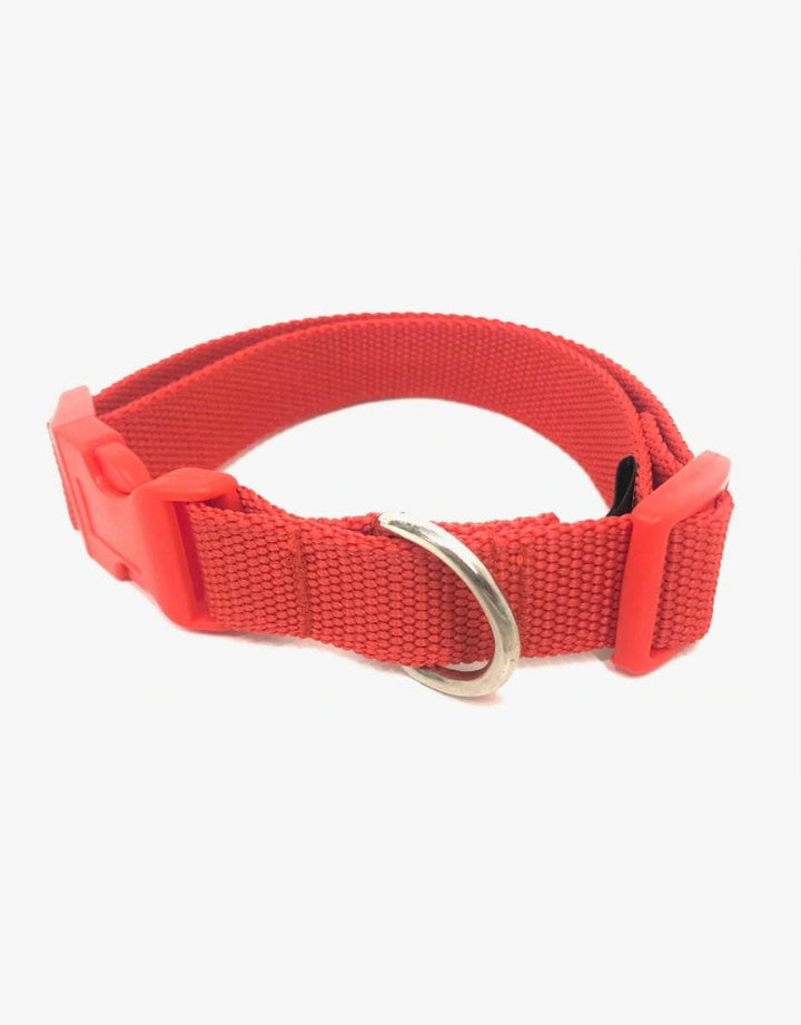 Adjustable red dog collar with durable clip and stainless steel D-ring.