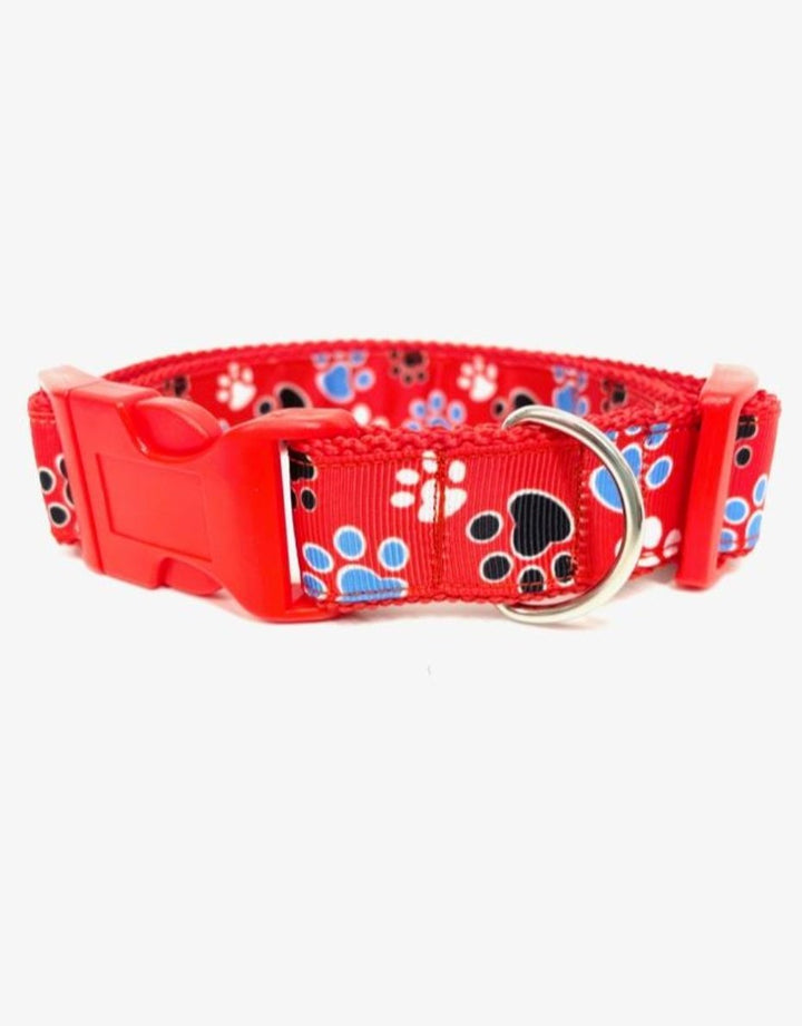 Red Paw Print Dog Collar - Pooch-RPP-2076-MR