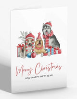 Three Dogs Christmas Greetings Card