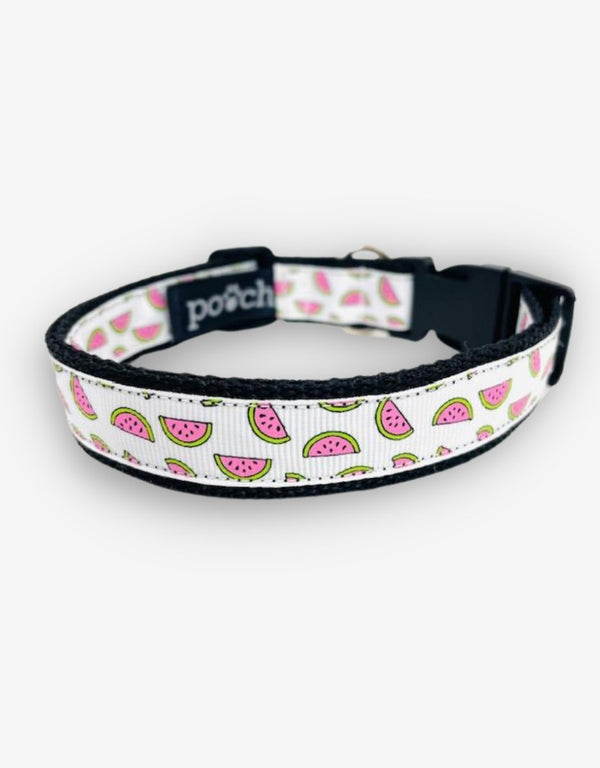 Watermelon Dog Collar - Pooch-COL-WDC-2200-S